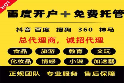 SEM竞价推广案例：打造行业领先的广告投放策略